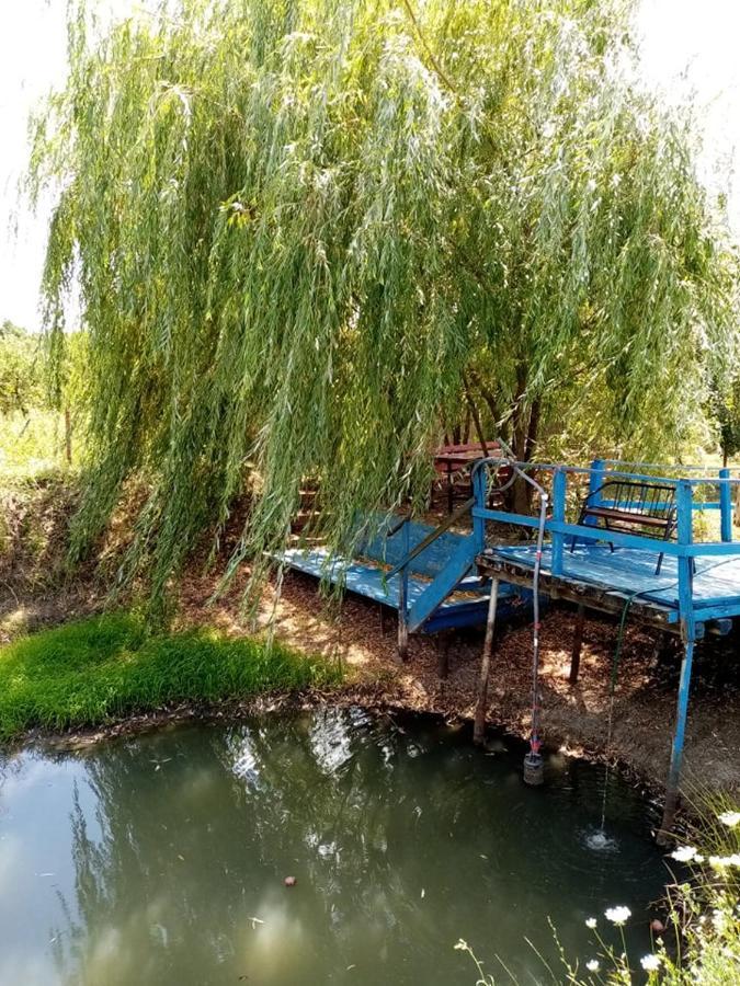 Balc Pensiunea Oana酒店 外观 照片